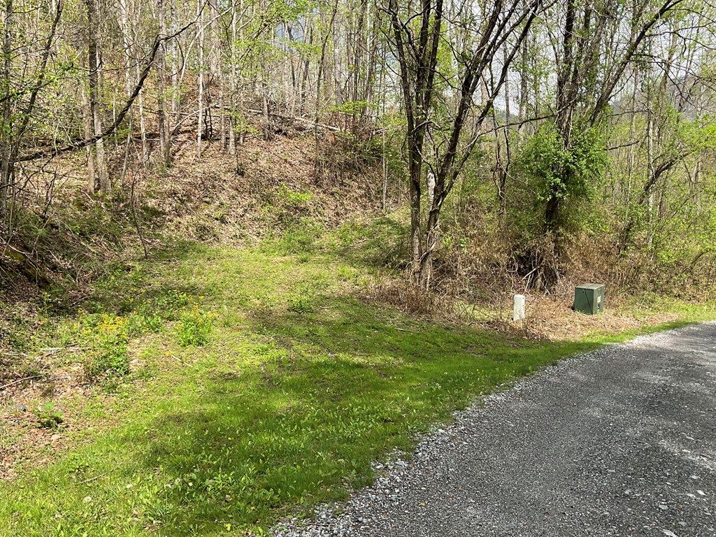 Photo of Lt 17 Amaryllis Trail, Cullowhee, NC 28723 (MLS # 26040785)