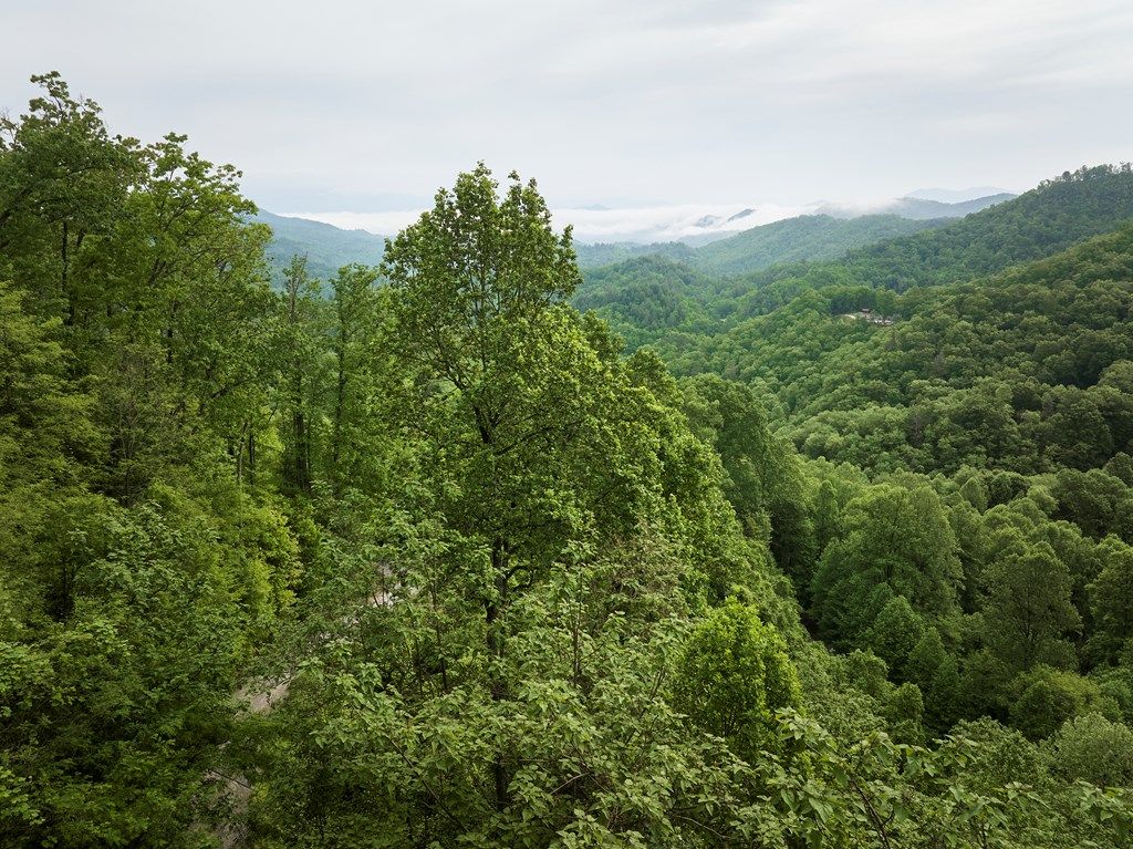 Photo of 0 Pauline Dr, Bryson City, NC 28713 (MLS # 26040938)