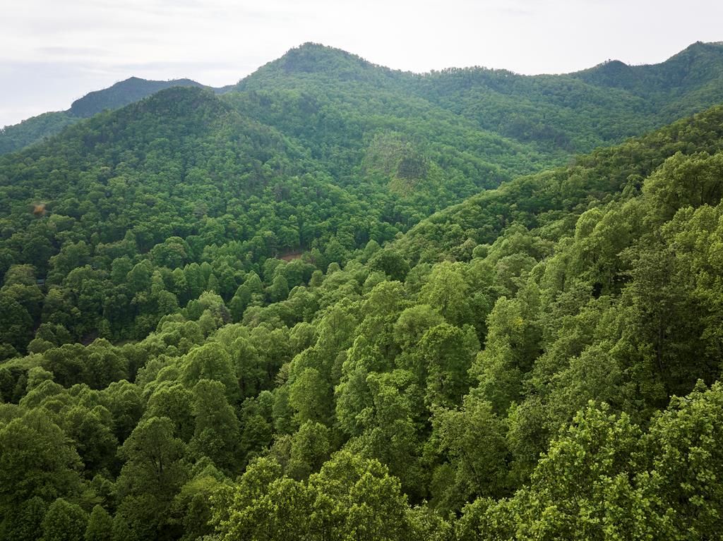 Photo of 0 Pauline Dr, Bryson City, NC 28713 (MLS # 26040938)