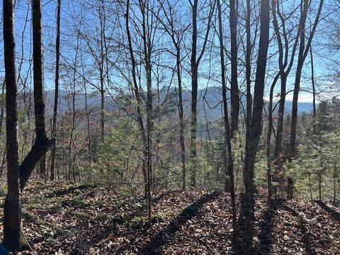 Photo of 0 Camp Branch, Topton, NC 28781 (MLS # 26043043)