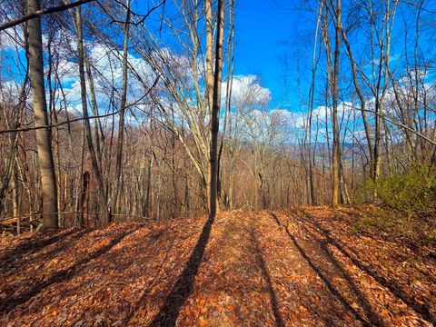 Photo of 3355 Utah Mountain Rd 3-F, Waynesville, NC 28785 (MLS # 26046949)