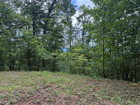 Photo of Lot 74 Wildflower Phase 3, Franklin, NC 28734 (MLS # 26041738)