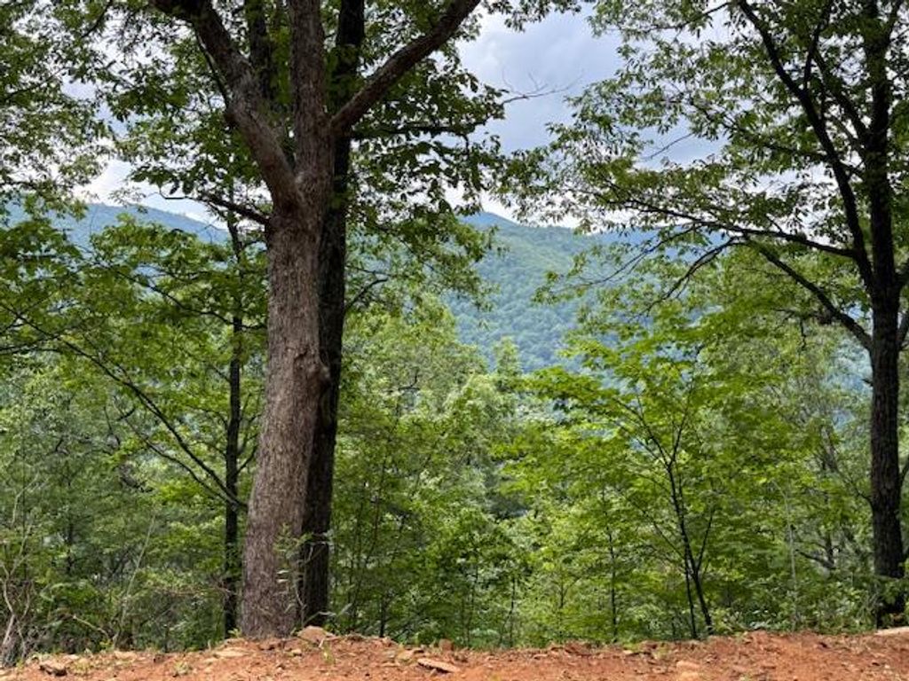Photo of Lot 12 High Springs, Bryson City, NC 28713 (MLS # 26041404)