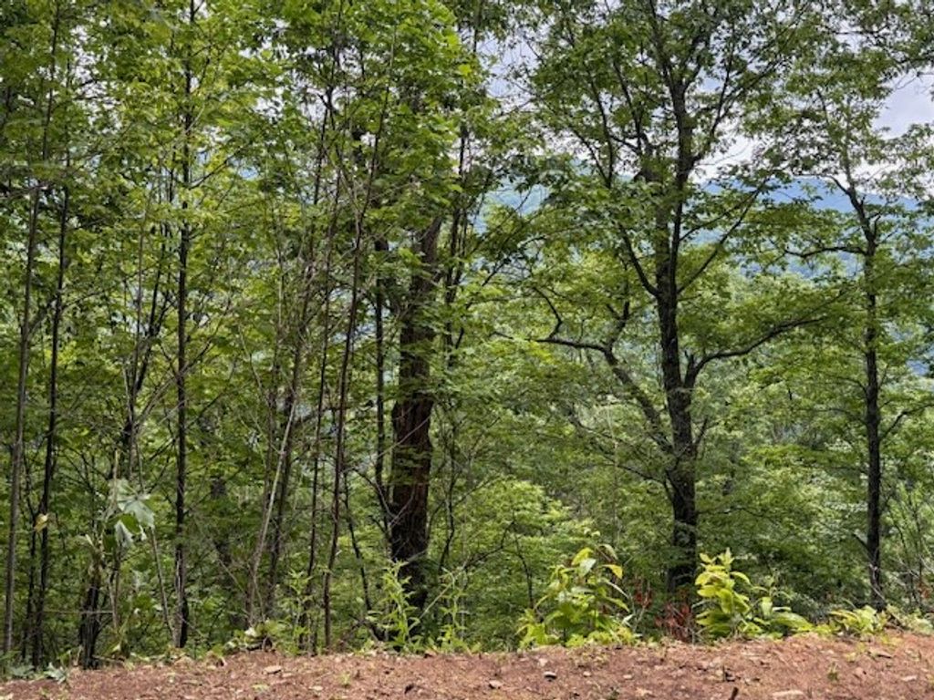 Photo of Lot 12 High Springs, Bryson City, NC 28713 (MLS # 26041404)
