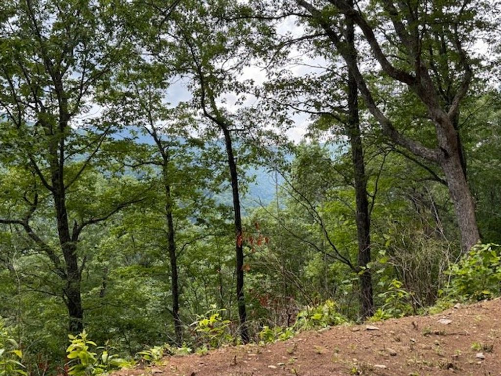 Photo of Lot 12 High Springs, Bryson City, NC 28713 (MLS # 26041404)