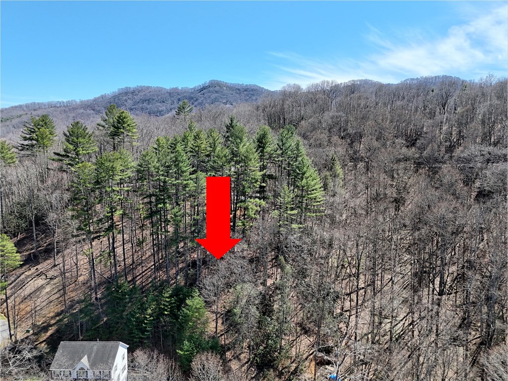 204 Minerva Drive #11