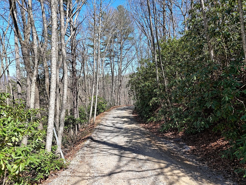 204 Minerva Drive #11