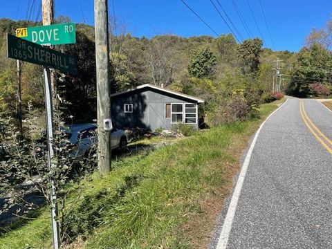 Photo of 221 Sherrill Rd, Bryson City, NC 28713 (MLS # 26043132)