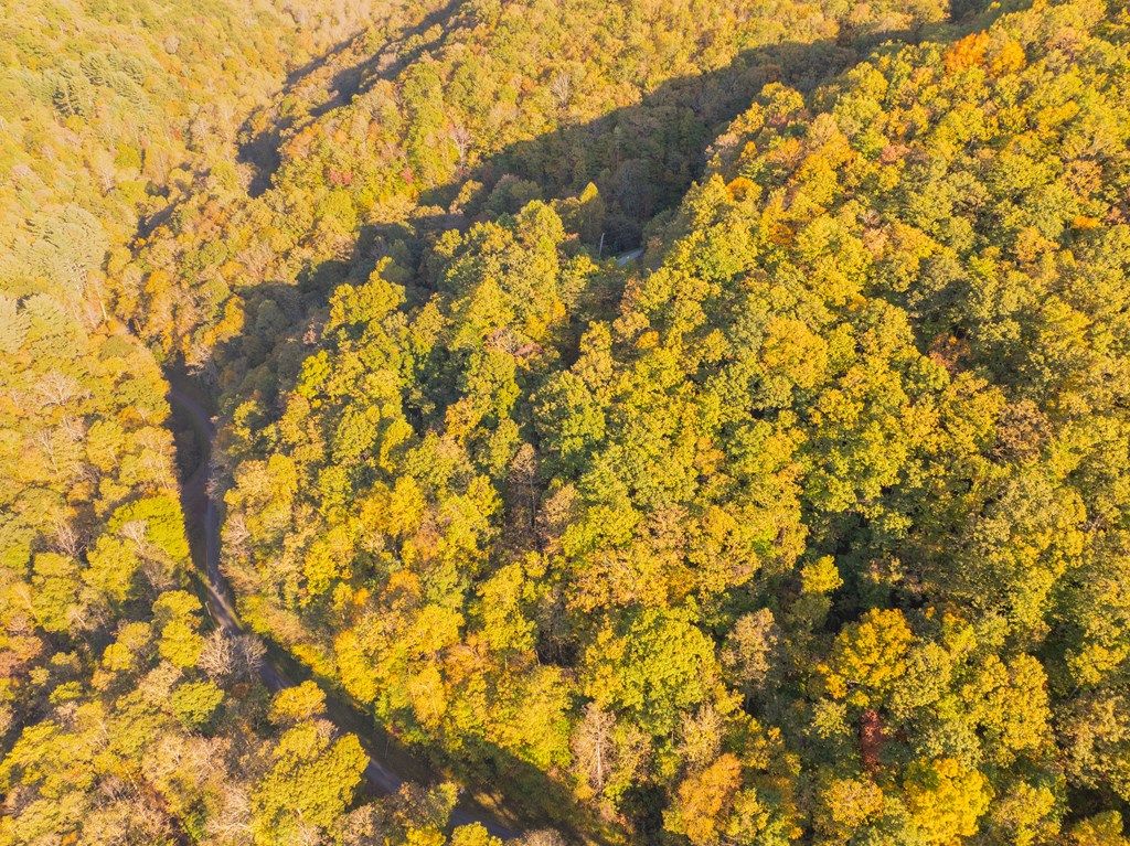 Photo of Lot 39 Brush Creek Mountain Road, Bryson City, NC 28713 (MLS # 26042684)