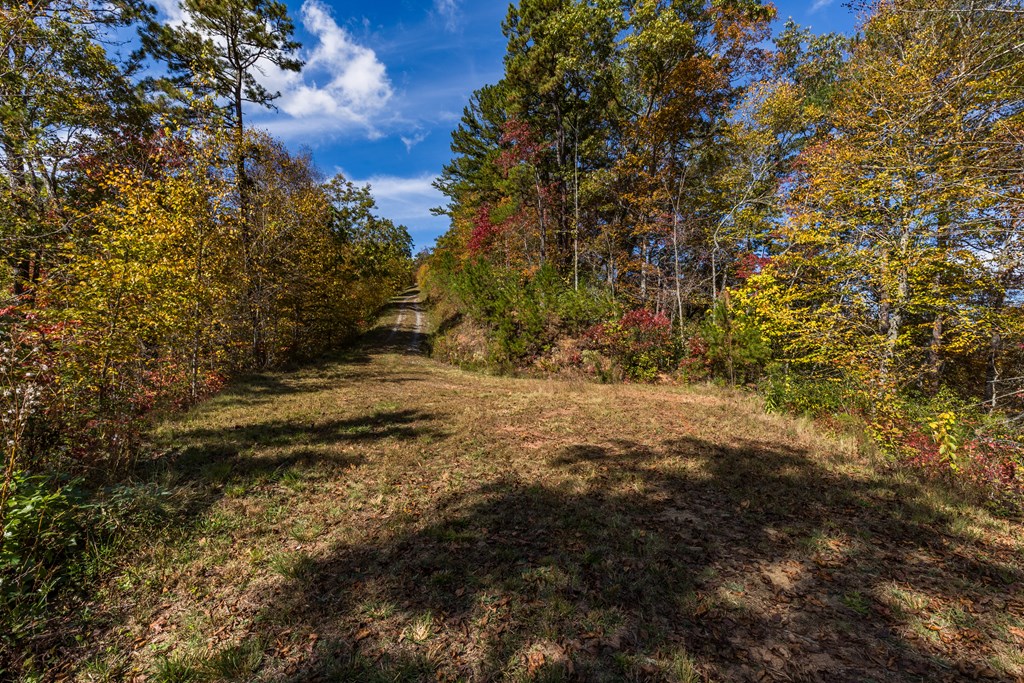 Lot 34 Hawks Ridge