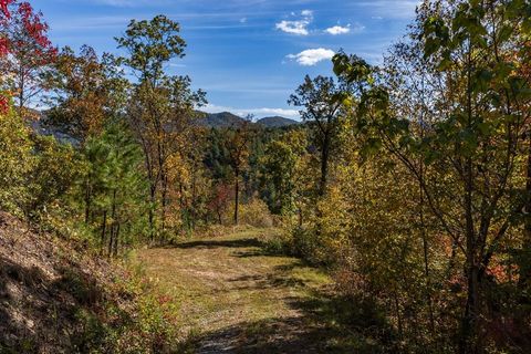 Photo of Lot 34 Hawks Ridge, Bryson City, NC 28713 (MLS # 26047152)