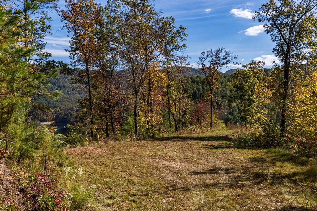 Lot 34 Hawks Ridge