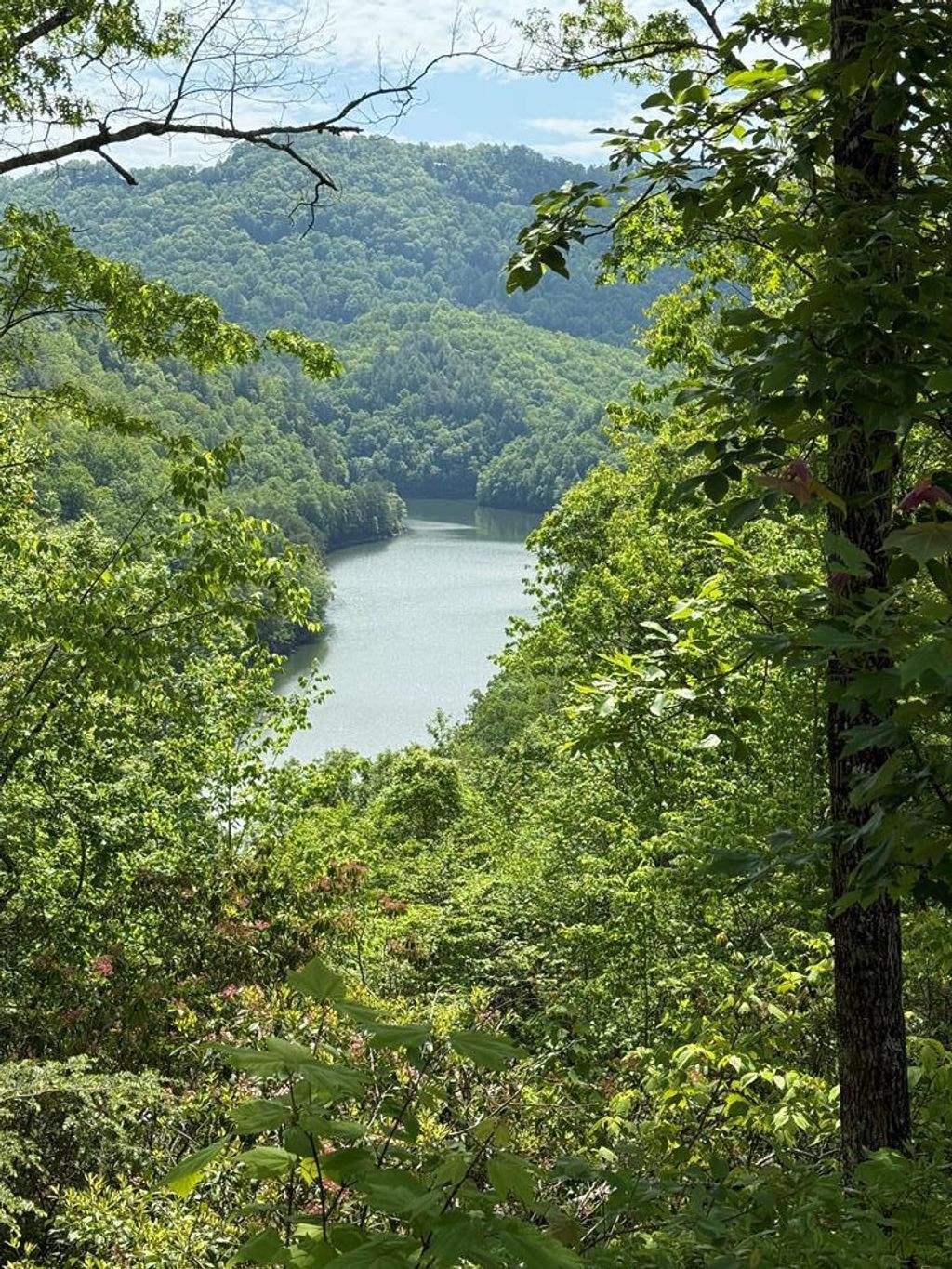 Photo of Lot 34 Hawks Ridge, Bryson City, NC 28713 (MLS # 26047152)