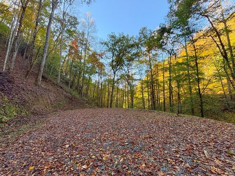 Photo of 999 Mountainside Drive, Bryson City, NC 28713 (MLS # 26042532) Photo of 999 Mountainside Drive, Bryson City, NC 28713 (MLS # 26042532)