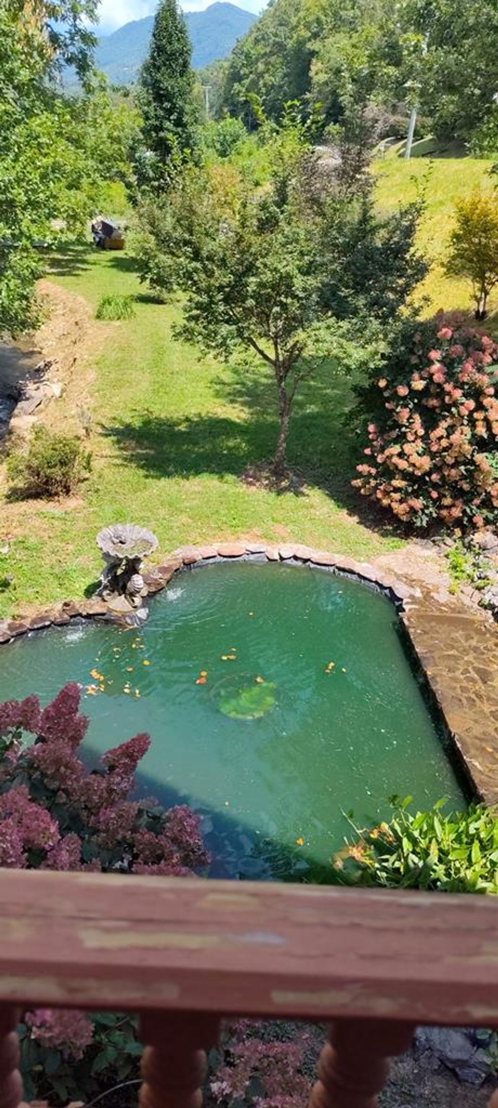 Photo of 814 Barkers Creek Rd, Whittier, NC 28789 (MLS # 26042742)