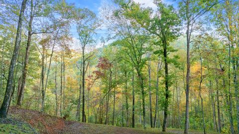 Photo of 0 Quail Ridge Dr, Franklin, NC 28734 (MLS # 26042425)