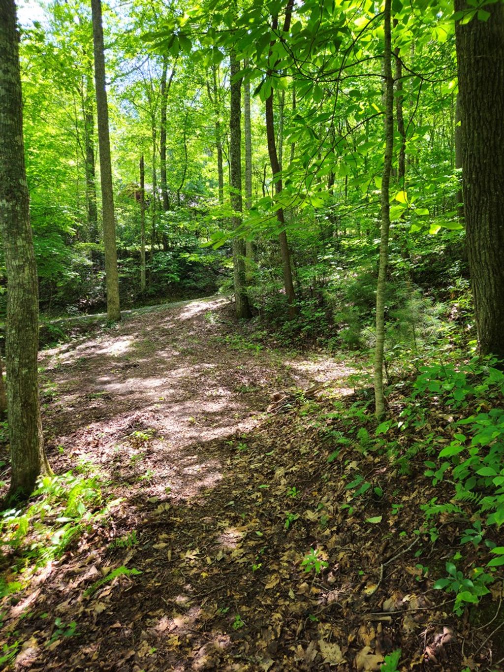 Photo of 1864 Bettys Creek Rd, Sylva, NC 28779 (MLS # 26041943)