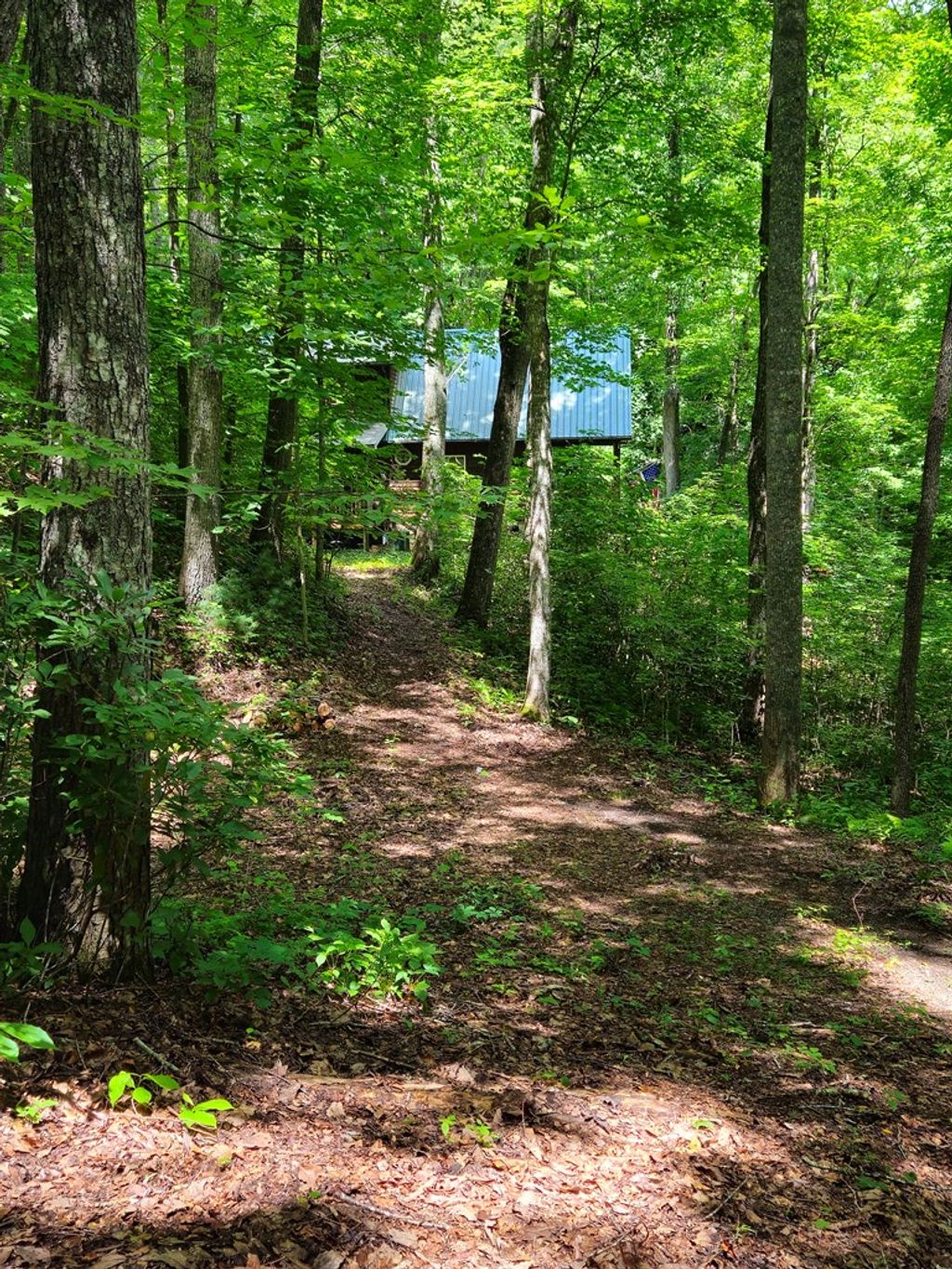 Photo of 1864 Bettys Creek Rd, Sylva, NC 28779 (MLS # 26041943)