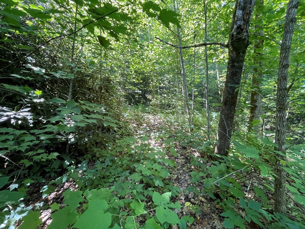 Photo of 0 Starry Drive, Bryson City, NC 28713 (MLS # 26045268)