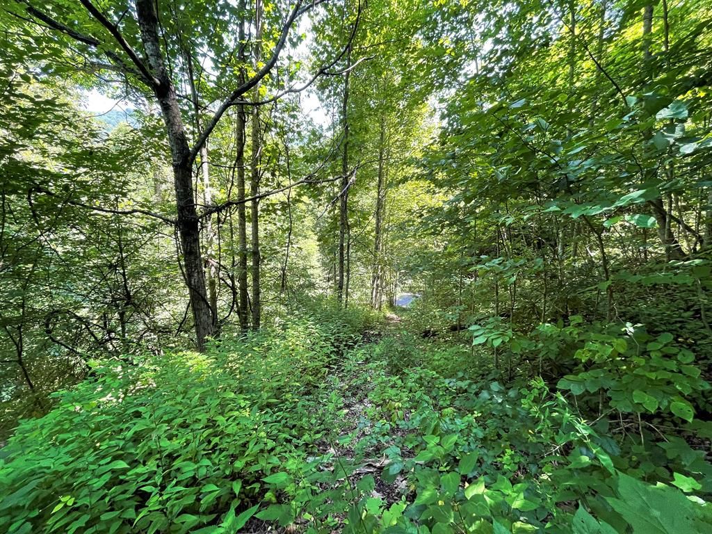 Photo of 0 Starry Drive, Bryson City, NC 28713 (MLS # 26045268)