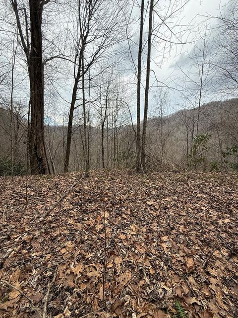 Photo of 0 Starry Drive, Bryson City, NC 28713 (MLS # 26045268)