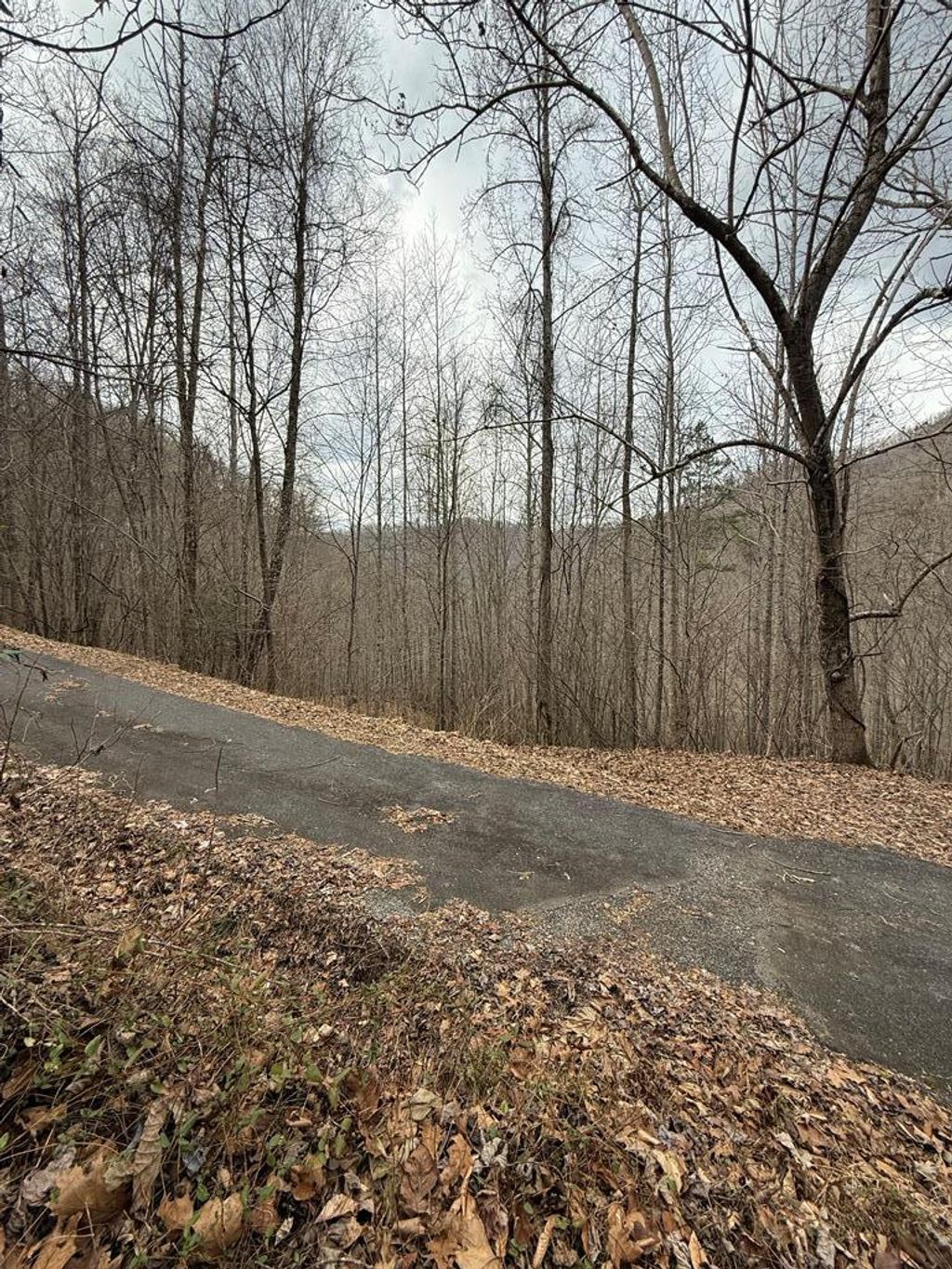 Photo of 0 Starry Drive, Bryson City, NC 28713 (MLS # 26045268)