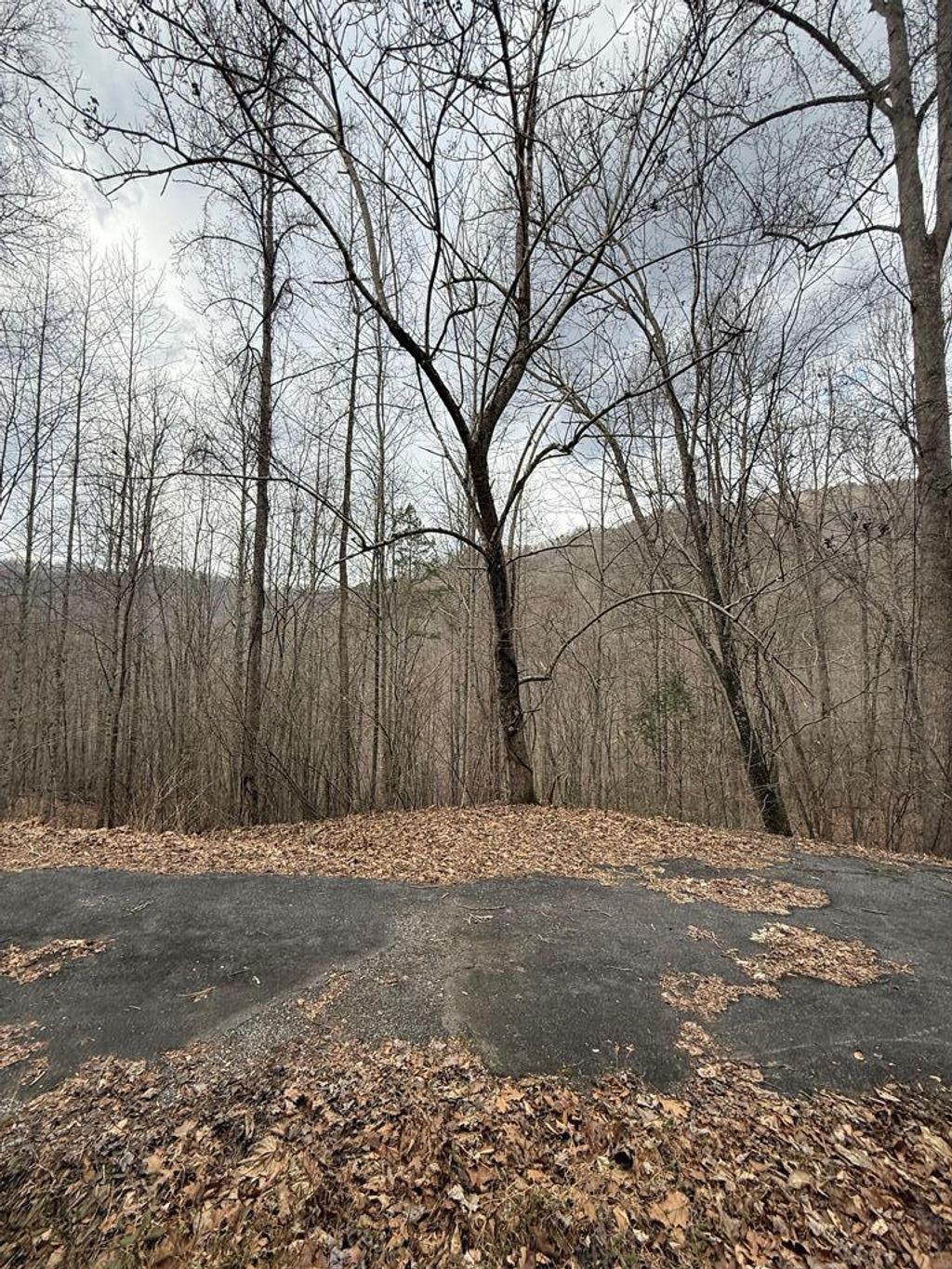 Photo of 0 Starry Drive, Bryson City, NC 28713 (MLS # 26045268)