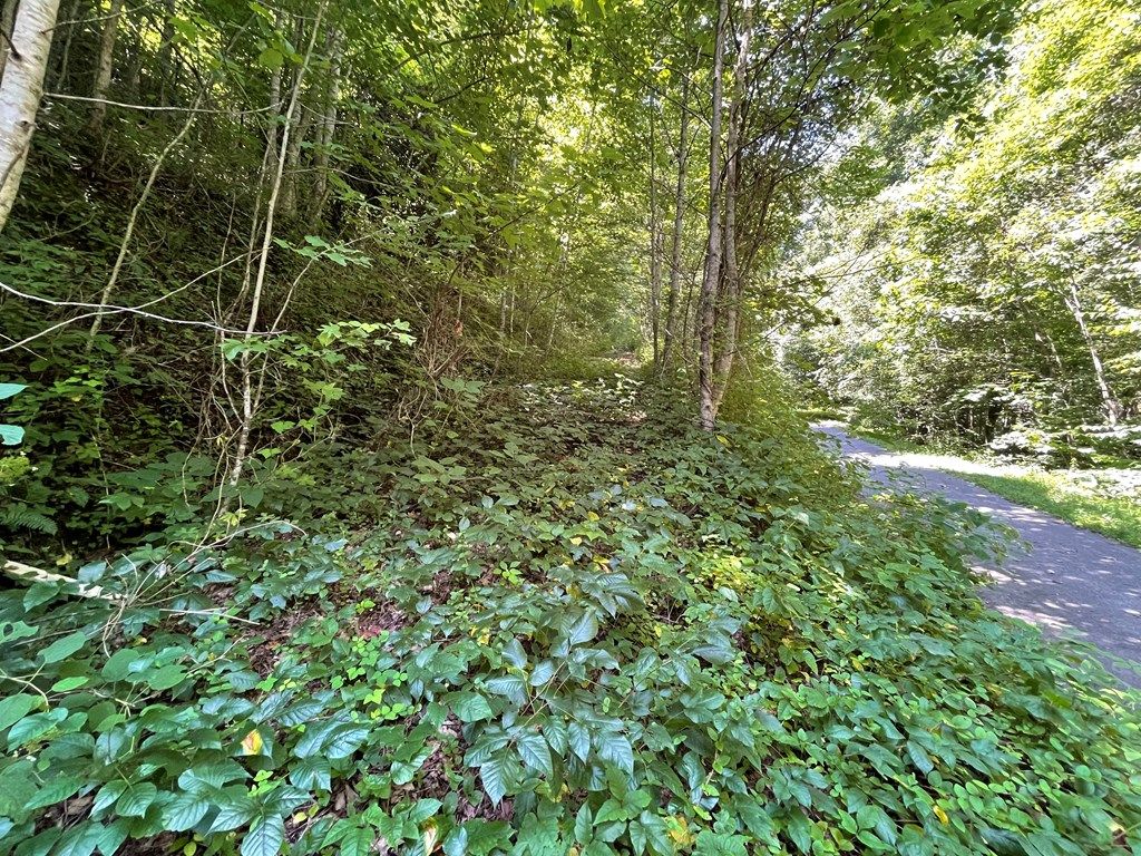Photo of 0 Starry Drive, Bryson City, NC 28713 (MLS # 26045268)