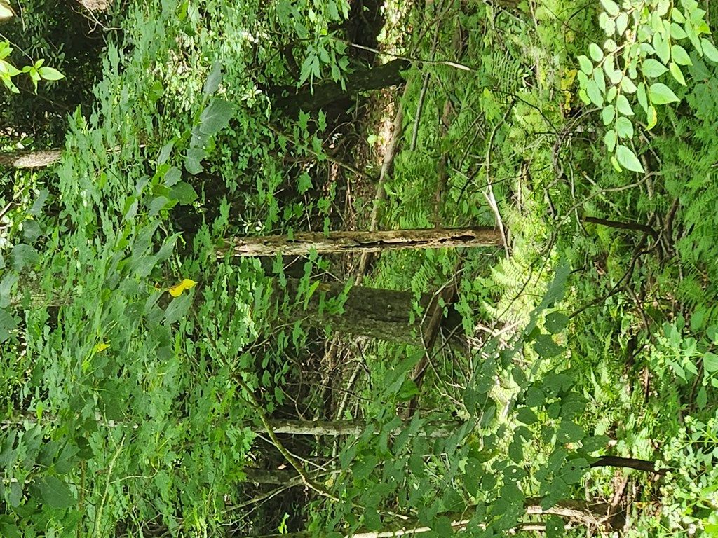 Photo of 11 Hound Dog Trail, Bryson City, NC 28713 (MLS # 26031426)