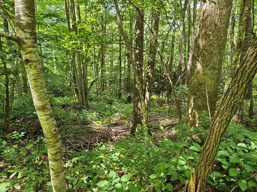 Photo of 11 Hound Dog Trail, Bryson City, NC 28713 (MLS # 26031426)