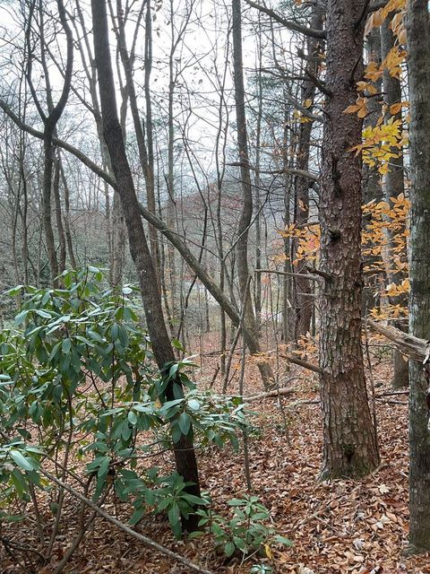 Photo of 0 Big Creek Road, Otto, NC 28763 (MLS # 26042652)