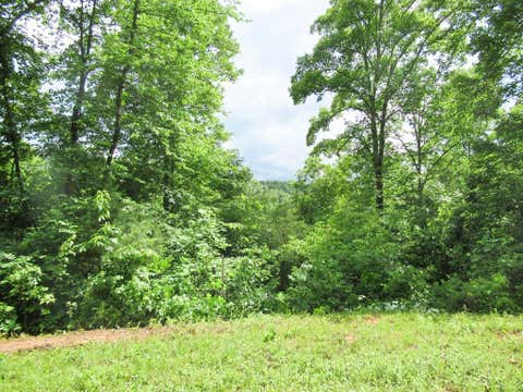 Photo of Lot 9 Berry Cove Rd, Franklin, NC 28734 (MLS # 26048070)