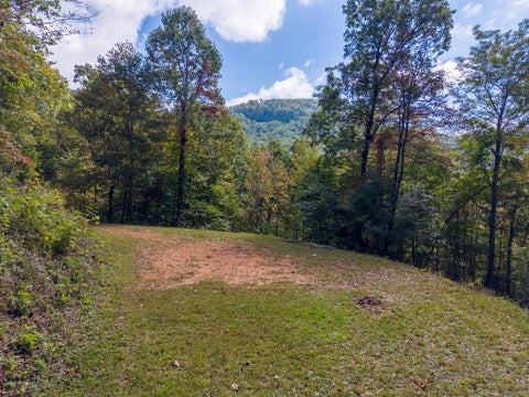 Photo of Lot 9 Berry Cove Rd, Franklin, NC 28734 (MLS # 26048070)