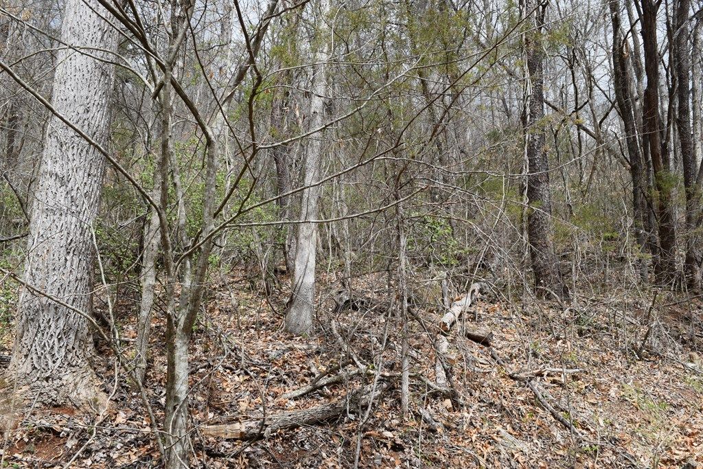 Photo of TBD Bel Air Rd, Cullowhee, NC 28723 (MLS # 26046834)