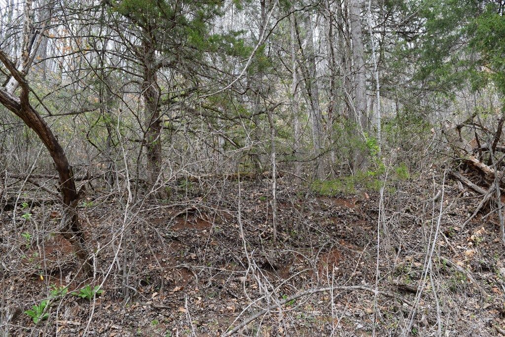 Photo of TBD Bel Air Rd, Cullowhee, NC 28723 (MLS # 26046834)