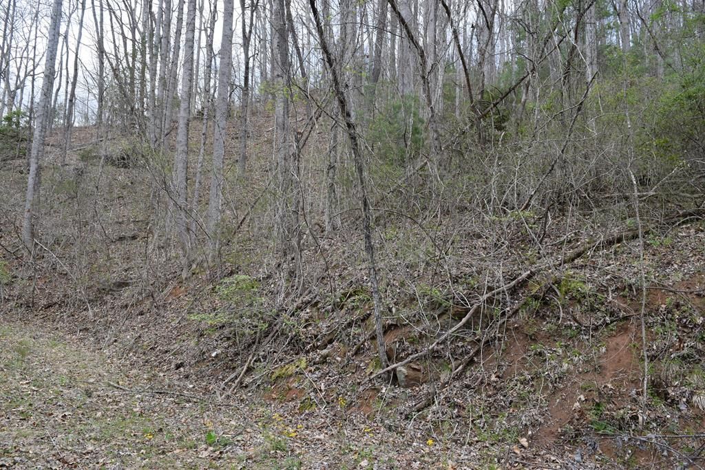 Photo of TBD Bel Air Rd, Cullowhee, NC 28723 (MLS # 26046834)