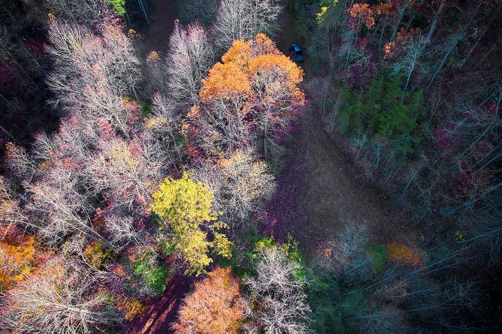 Photo of 0000 Sports World, Bryson City, NC 28713 (MLS # 26016757)