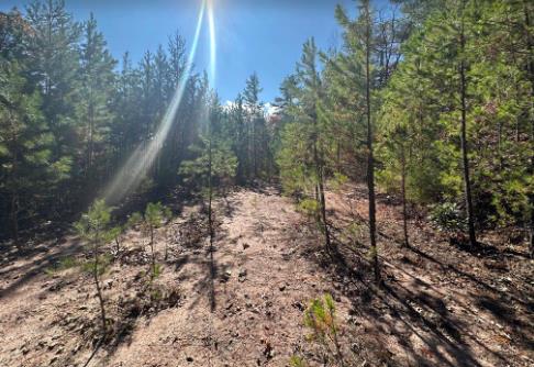 Franklin, North Carolina 28734, United States, ,Land,Active,163936