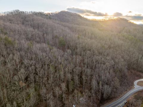 Photo of 9180 Lower Alarka Road, Bryson City, NC 28713 (MLS # 26043130)