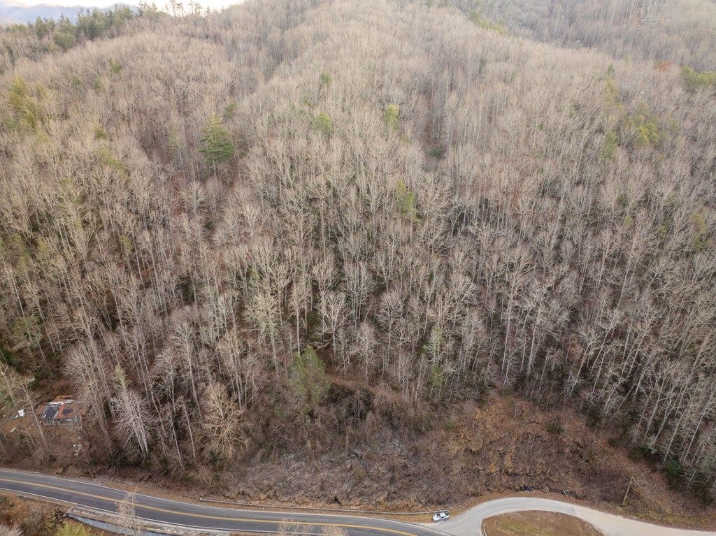 Photo of 9180 Lower Alarka Road, Bryson City, NC 28713 (MLS # 26043130)