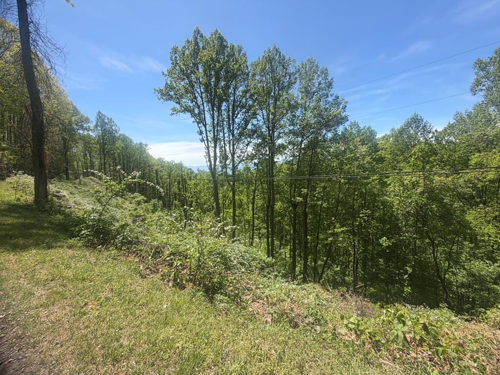 L 47/48 Skyland Dr