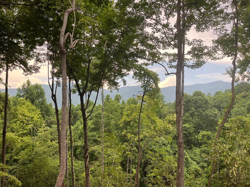 Photo of 264 Westridge Rd, Sylva, NC 28779 (MLS # 26047805)