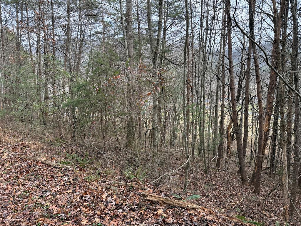 Lot 29 Ideal Acres