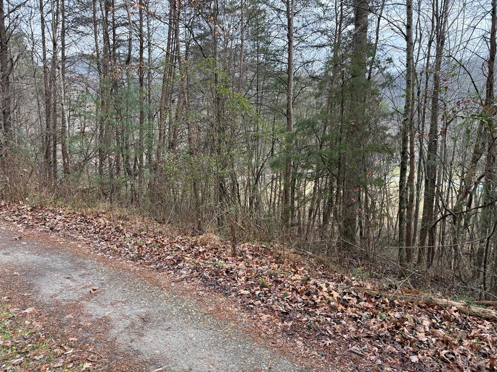 Lot 29 Ideal Acres