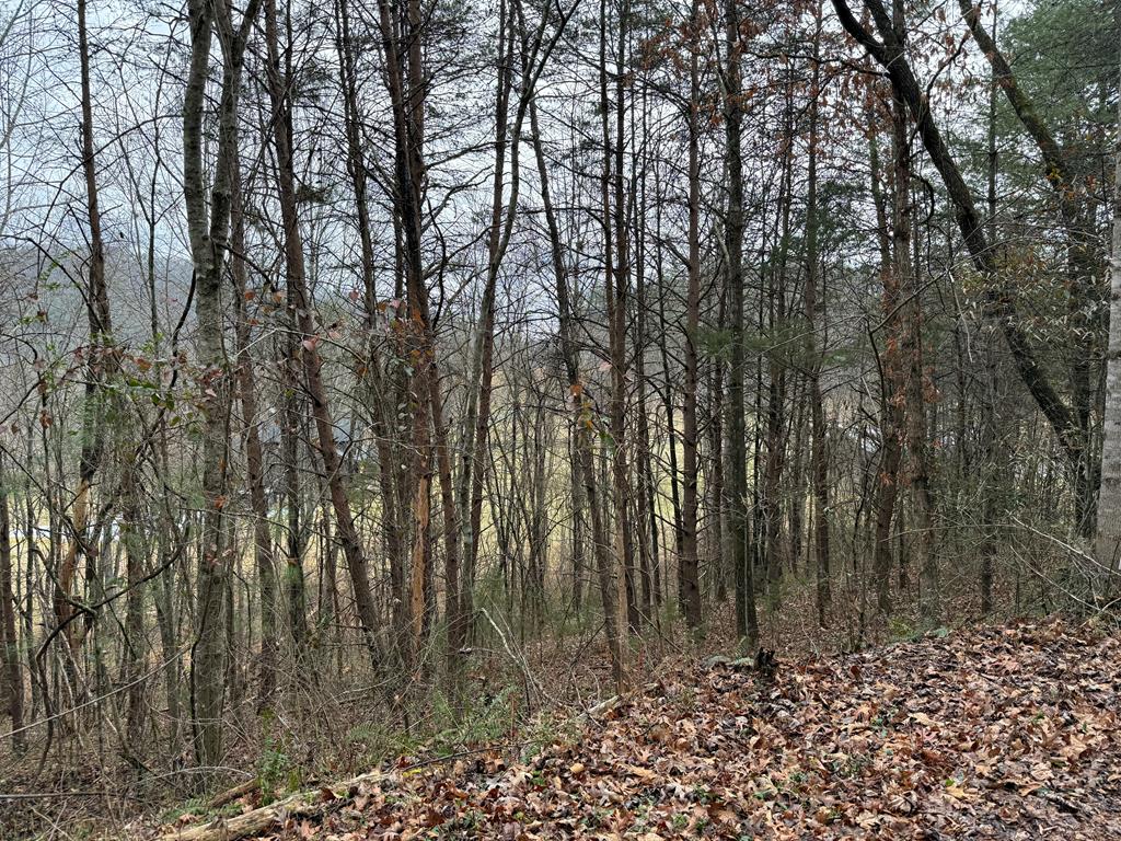 Lot 29 Ideal Acres
