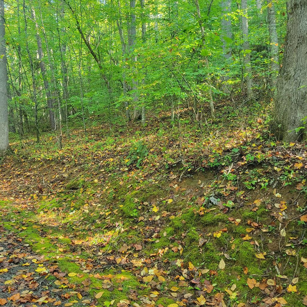 Lot 12 Carolina Springs