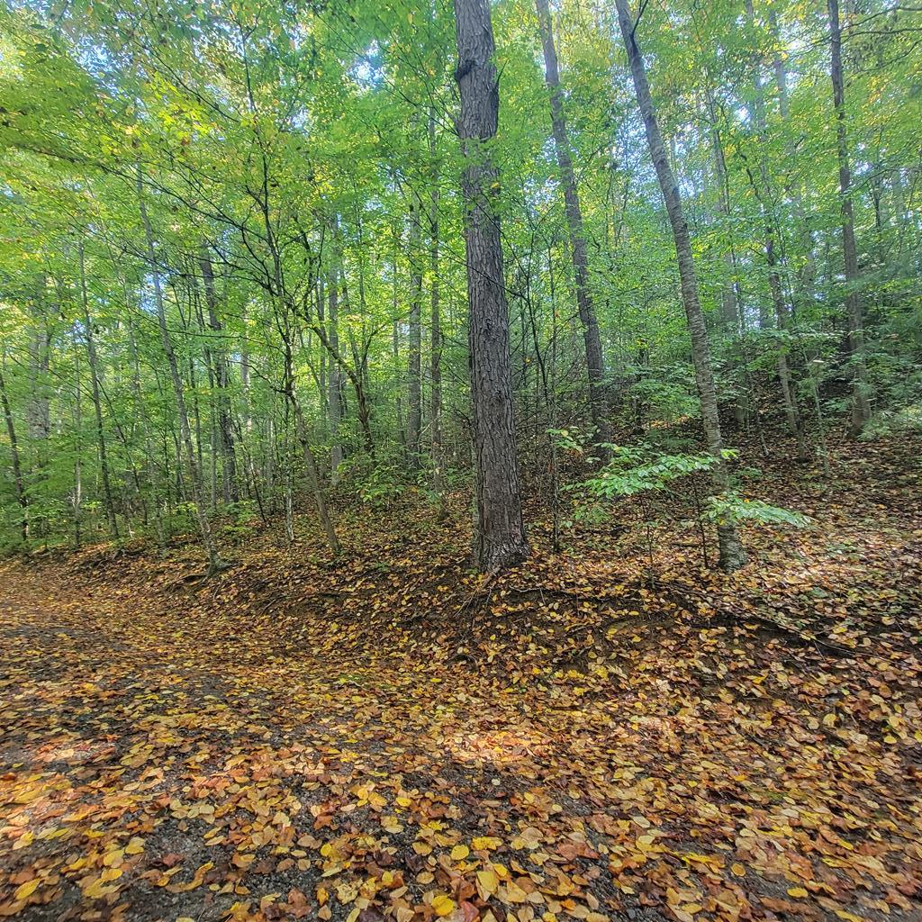 Lot 12 Carolina Springs