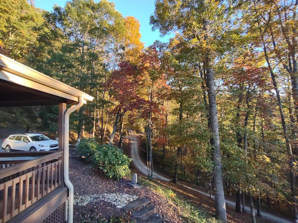 Photo of 353 Bartlett Glen Cove Drive, Bryson City, NC 28713 (MLS # 26048426)