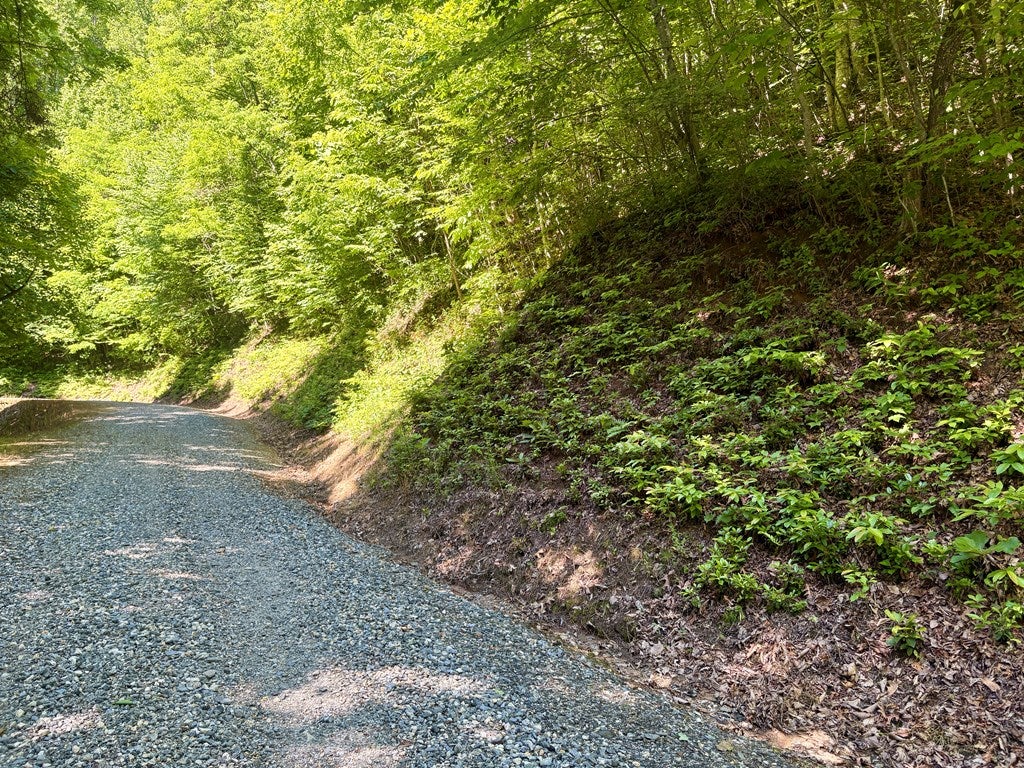 Photo of Lot 38 Middle Ridge, Whittier, NC 28789 (MLS # 26047441)