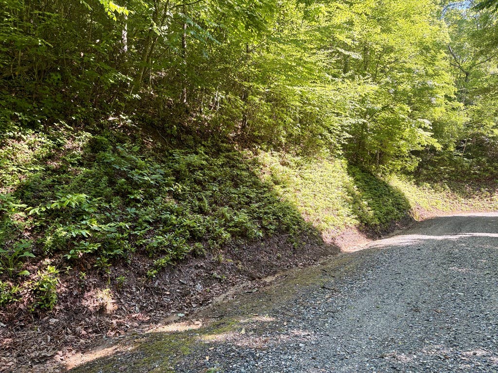 Photo of Lot 38 Middle Ridge, Whittier, NC 28789 (MLS # 26047441)